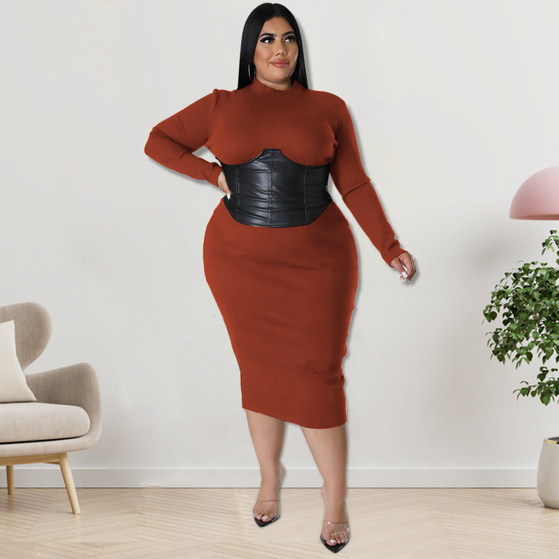 Long Sleeve Plus Size Women's Leather Zipper Dress