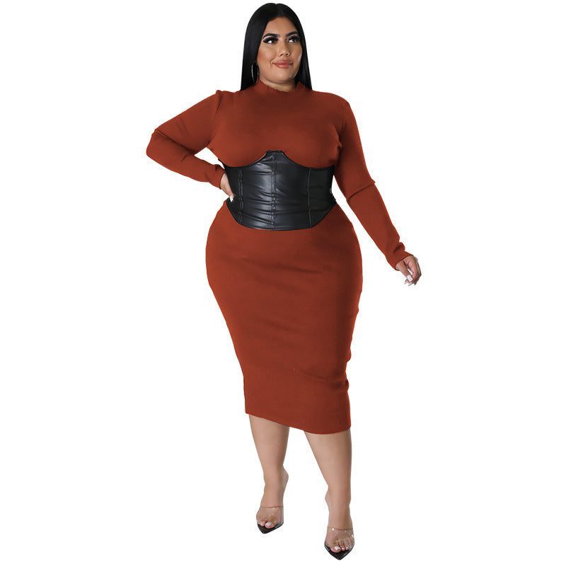 Long Sleeve Plus Size Women's Leather Zipper Dress