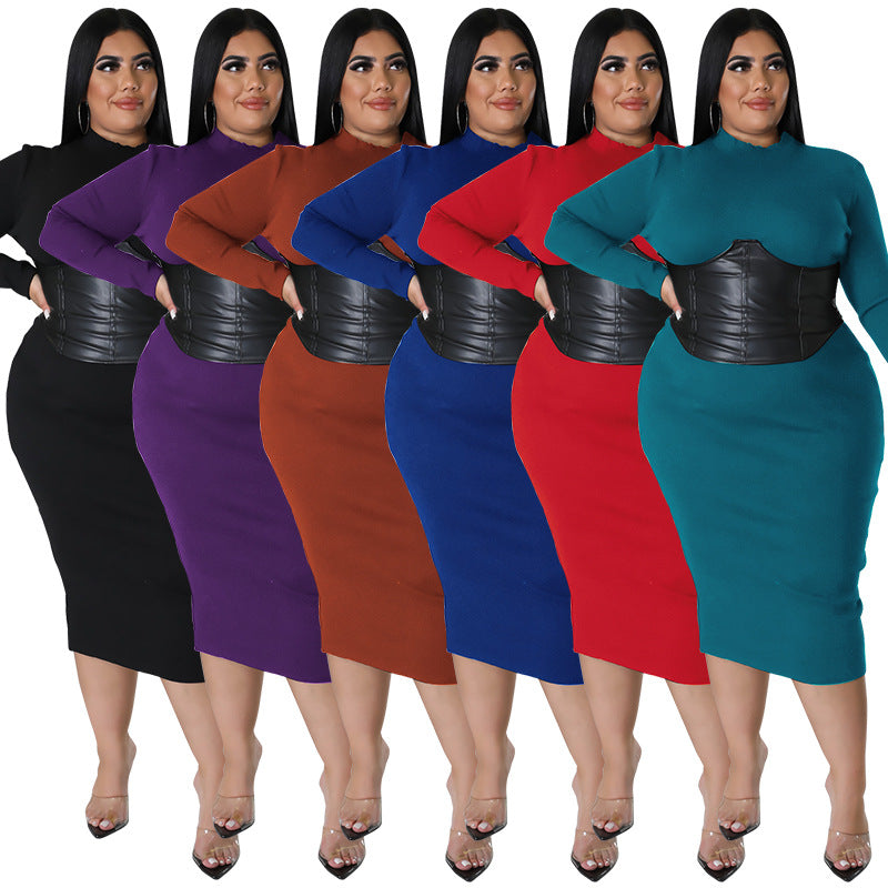 Long Sleeve Plus Size Women's Leather Zipper Dress